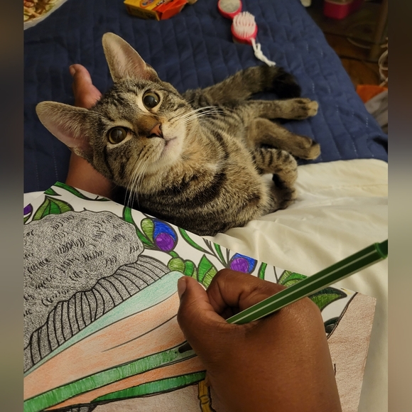 Meet your Posher, Sunshyne - Picture 5 of 16